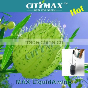 Liquid Foliar Spray Fertilizer With Amino Acid