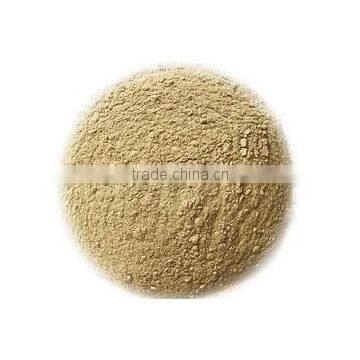 Angel Alpha Amylase Enzyme Manufacturer photo-2