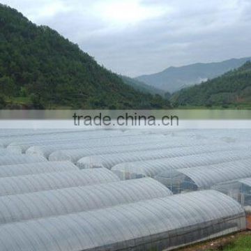 Hot selling Muti-span wholesale transparent greenhouse plastic film