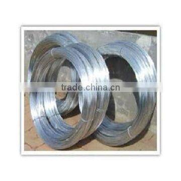 2013 Autumn Canton Fair 16.3H05 BWG22&8KG Electric Galvanized Iron Wire(factory)