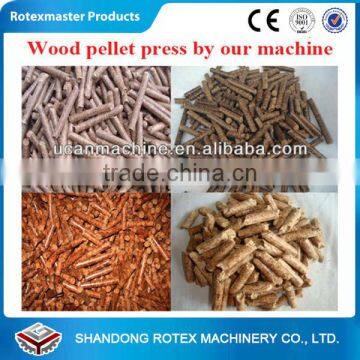 Europe Standard Biomass Pellet Machinery Line Rotexmaster photo-5