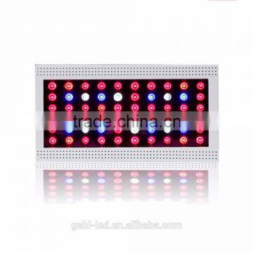 2017 Latest 150w X300 Led Indoor Grow Light photo-4