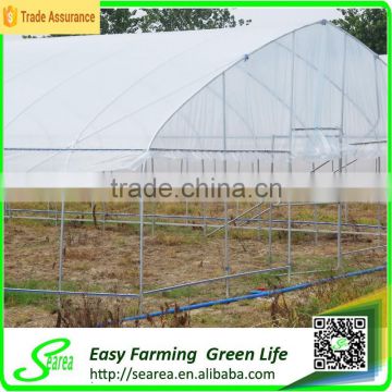 Low cost tunnel greenhouse for sale