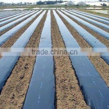 agriculture black plastic film