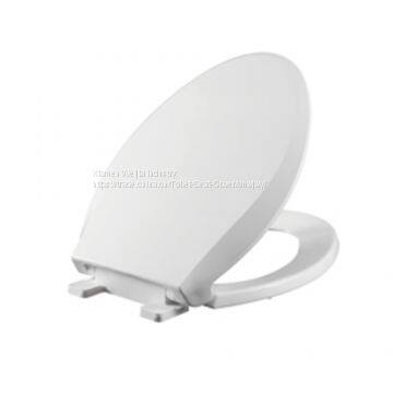 The Toilet Lid Thickens and the Toilet Seat Covers the Old Toilet Lid photo-4