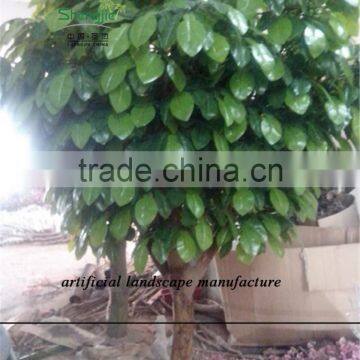 SJZJN 034 High Imitation Aritificial Lemon Tree Made in China Fashion Artificial Tree photo-3