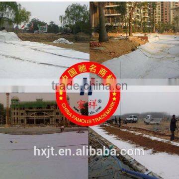 Excellence PET Geotextile Used to Control Erosion on Cut Slops of Road Highway photo-6