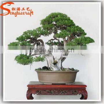 High Quality Life Size Artifical Plant Home Decoration Artifical Bonsai Plants photo-5