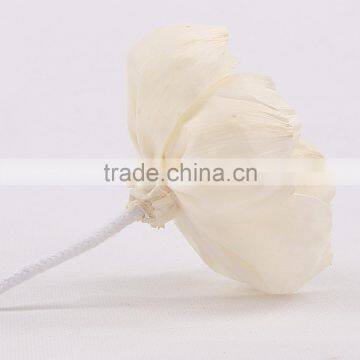 Handmade Fragrance Reed Diffuser Sola Wood Flower photo-4
