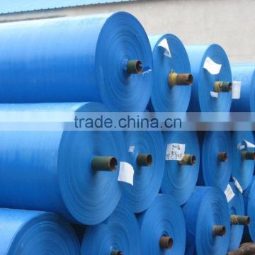 Factory Price HDPE Fabric of 10x10Mesh and 95 GSM