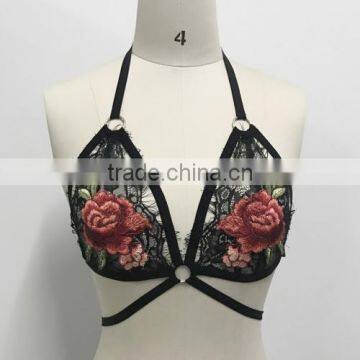 2017 Ladies Latest Design With Lace Bra photo-3