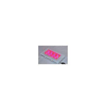 300W High-power LED Panel Light with 2 Years Warranty, Ideal for Cucumber and Tomato