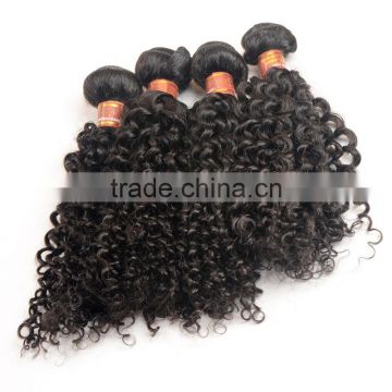 7A Grade Unprocessed Virgin Malaysian Curly Hair