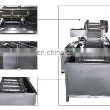 Low Energy Bubble Industrial Vegetable and Fruit Washing Machine photo-2