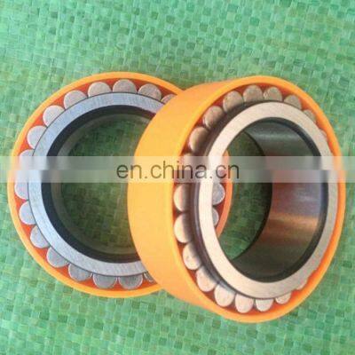 Gearbox Bearing RSL183011 Double Row Full Complement Roller Bearing RSL 183011