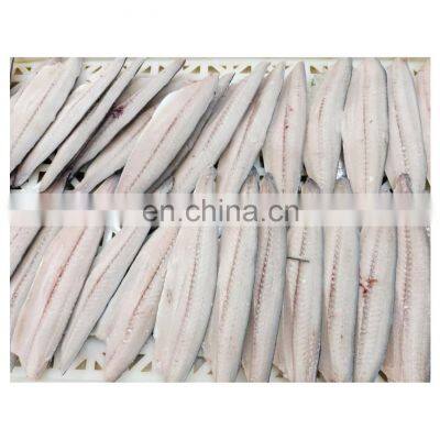 IQF skinless clean frozen spanish mackerel fish fillet