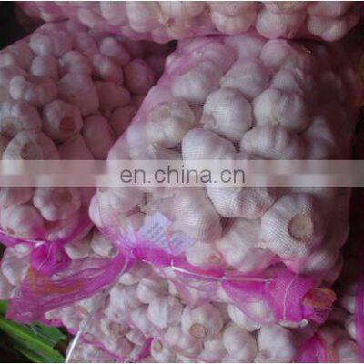 Pure White Fresh Garlic Chinese Garlic photo-5