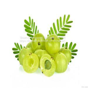 Phyllanthus emblica Extract, Amla Extract, Water-soluble Emblica Extract, Alma fruit Powder, natural food ingredients