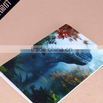 promotional cheap price 3d file folder for gift