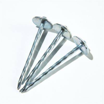 Roof Nails With Cap Umbrella Type Head Roofing Nails photo-5
