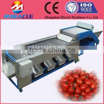 Date sorter machine/stainless steel dates grader sorting machines for sale