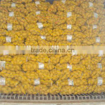 China Potato 2016 photo-3