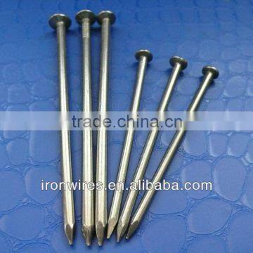 Common round wire nail(exporter)