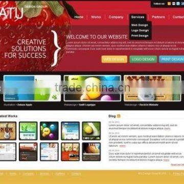 Web Designer photo-3