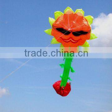 Sunflower Kite photo-1