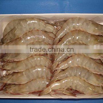 FROZEN WHITE SHRIMP photo-2