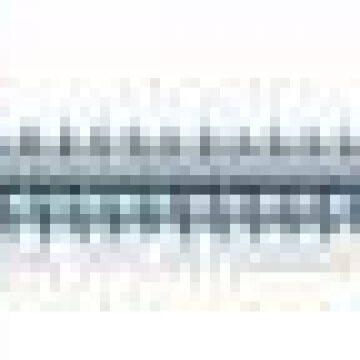 Self Tapping Screws or Self Drilling Screws With Washer Hex Head photo-4