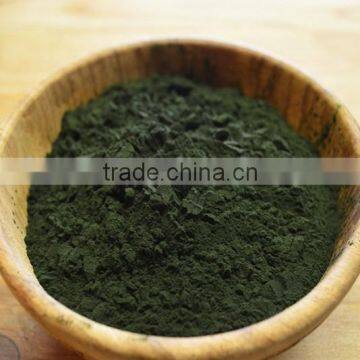 100% Natural Spirulina Powder High Quality