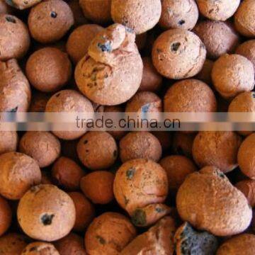 Hydro Grow Media (Leca Stones) Orchid/Hydroponic Clay Pebbles Recycled Growstons