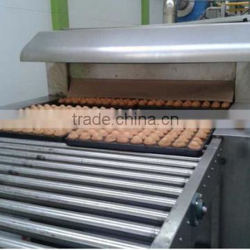 KH-DGX-600 industrial cake production line