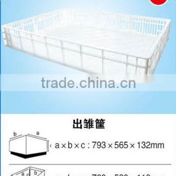 plastic crate for baby chick