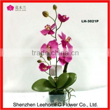 Real Touch Phalaenopsis Orchids Pink Table Flower Centerpieces