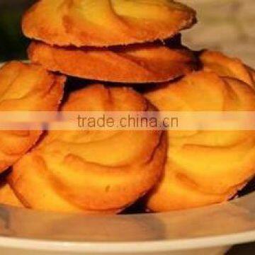 CK600 Cookie Machinery photo-2