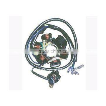 6 coil magneto stator