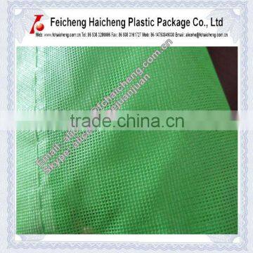 Flame Retardant PVC Polyster Net photo-3