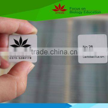 High quality Individual microbiology type microscope prepared slides