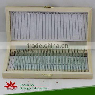 Human histology slides set