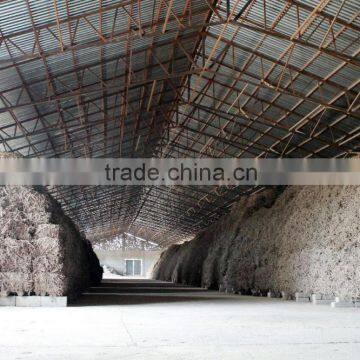 Licorice Root for Medicinal Usage photo-5