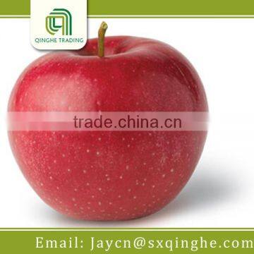 chinese sweet red star apple fruit price