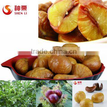 Best Quality and Price Raw Chestnuts From China photo-5