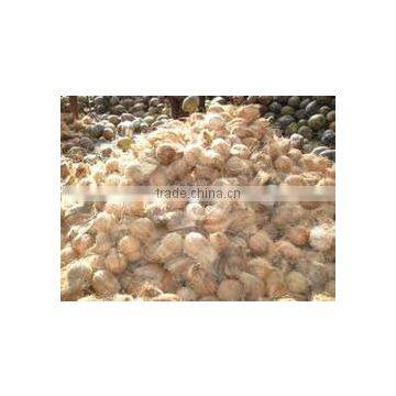 Husk removed coconut from India