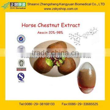 GMP Factory Supply High Quality Horse Chestnut Extract Powder