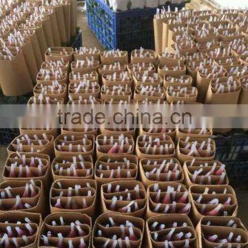 Natural Rose Flower photo-2