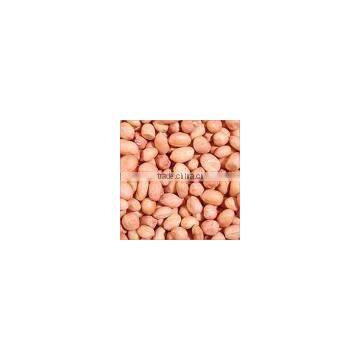 Groundnuts