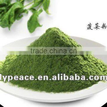 dehydrated spinach powder from linyi