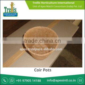 Export Quality and Biodegradable Coir Pots from Reputed Supplier